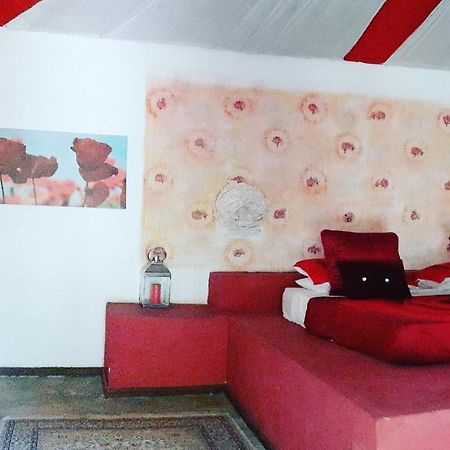 Gecko Nature Lodge Home Of Swahili Divers The Best Dive Center And Famous Gecko Restaurant Verani Luaran gambar