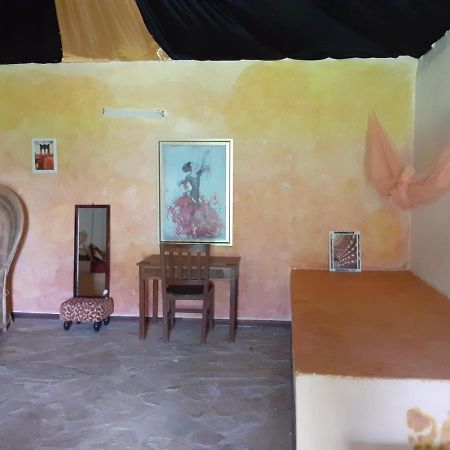 Gecko Nature Lodge Home Of Swahili Divers The Best Dive Center And Famous Gecko Restaurant Verani Luaran gambar