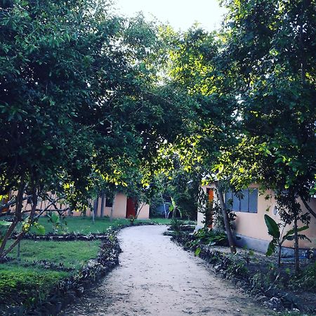 Gecko Nature Lodge Home Of Swahili Divers The Best Dive Center And Famous Gecko Restaurant Verani Luaran gambar