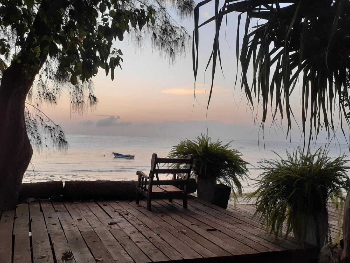Gecko Nature Lodge Home Of Swahili Divers The Best Dive Center And Famous Gecko Restaurant Verani Luaran gambar