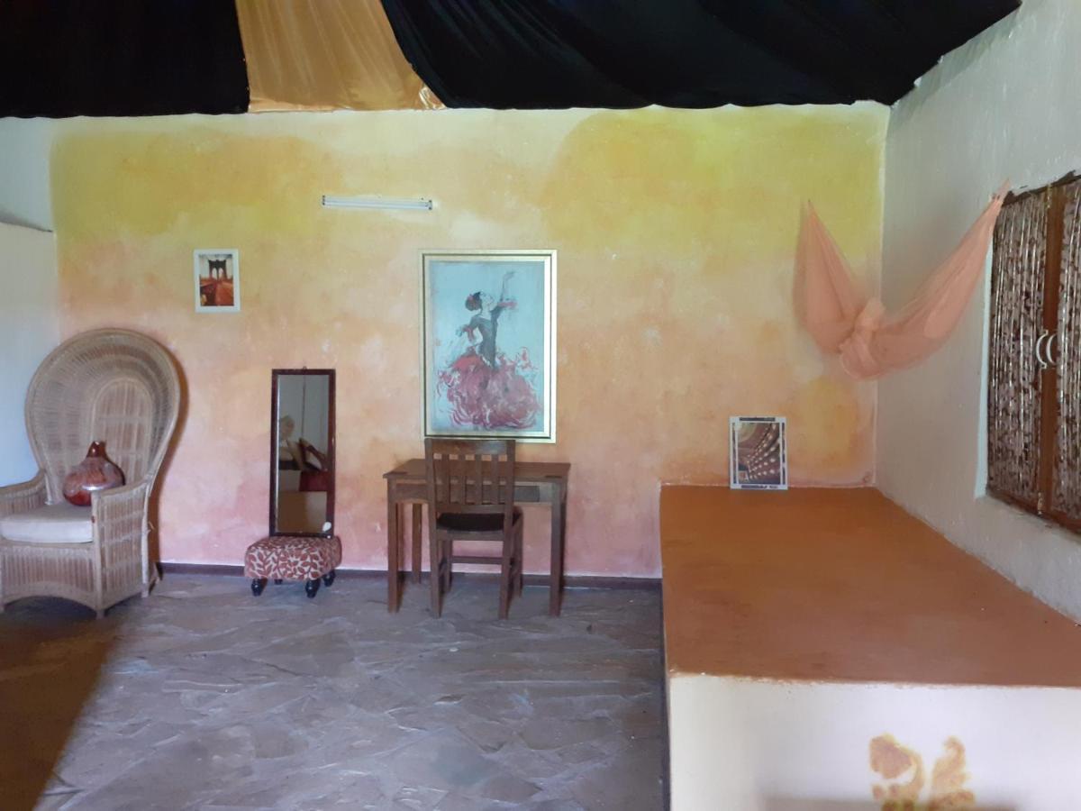 Gecko Nature Lodge Home Of Swahili Divers The Best Dive Center And Famous Gecko Restaurant Verani Luaran gambar
