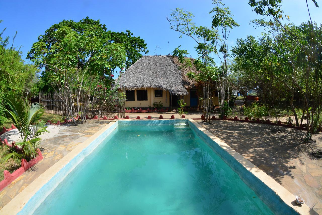 Gecko Nature Lodge Home Of Swahili Divers The Best Dive Center And Famous Gecko Restaurant Verani Luaran gambar