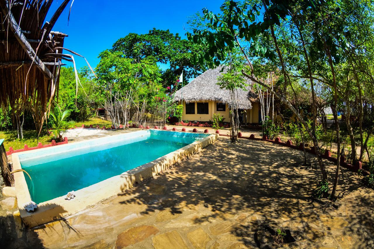 Gecko Nature Lodge Home Of Swahili Divers The Best Dive Center And Famous Gecko Restaurant Verani Luaran gambar