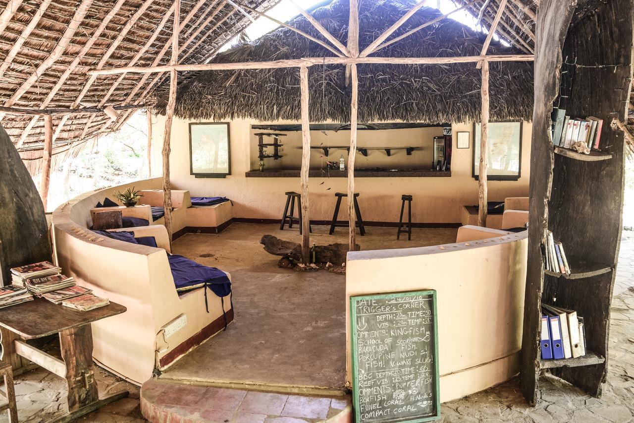 Gecko Nature Lodge Home Of Swahili Divers The Best Dive Center And Famous Gecko Restaurant Verani Luaran gambar