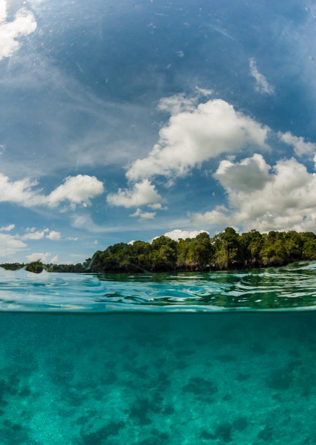 Gecko Nature Lodge Home Of Swahili Divers The Best Dive Center And Famous Gecko Restaurant Verani Luaran gambar