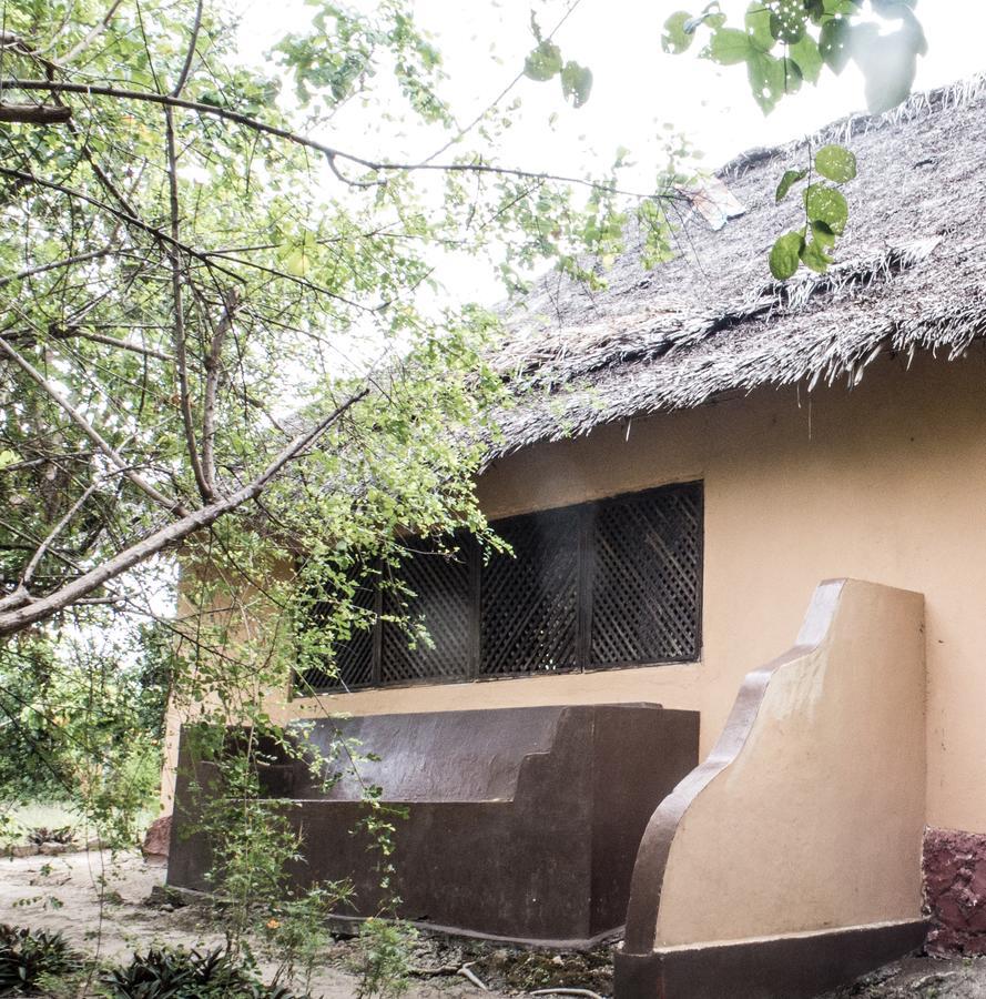 Gecko Nature Lodge Home Of Swahili Divers The Best Dive Center And Famous Gecko Restaurant Verani Luaran gambar