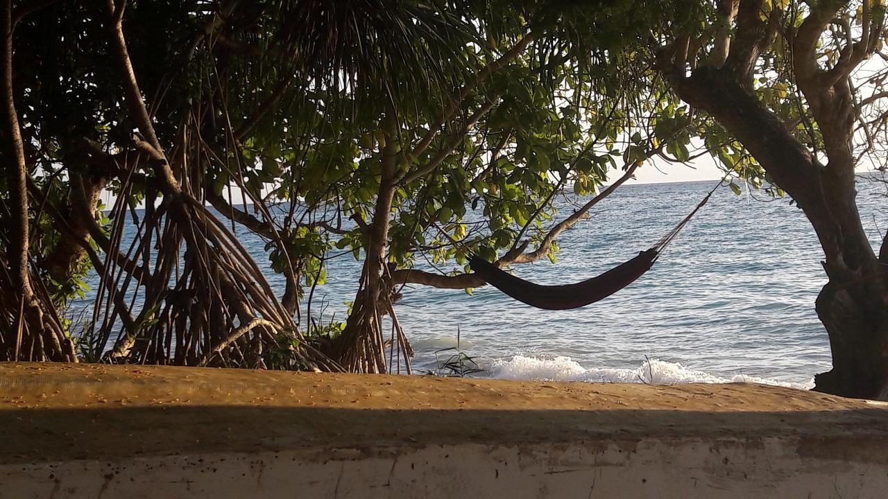 Gecko Nature Lodge Home Of Swahili Divers The Best Dive Center And Famous Gecko Restaurant Verani Luaran gambar