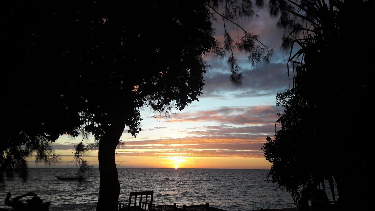 Gecko Nature Lodge Home Of Swahili Divers The Best Dive Center And Famous Gecko Restaurant Verani Luaran gambar