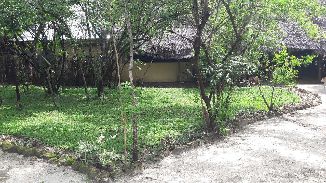 Gecko Nature Lodge Home Of Swahili Divers The Best Dive Center And Famous Gecko Restaurant Verani Luaran gambar