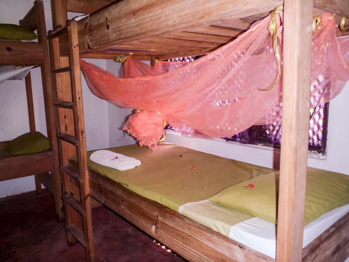 Gecko Nature Lodge Home Of Swahili Divers The Best Dive Center And Famous Gecko Restaurant Verani Luaran gambar
