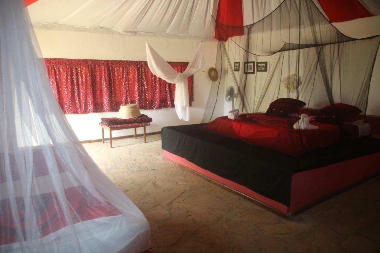 Gecko Nature Lodge Home Of Swahili Divers The Best Dive Center And Famous Gecko Restaurant Verani Luaran gambar